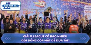 Giải V.League Có Bao Nhiêu Đội Bóng Góp Mặt Để Đua Tài? 5 Giải V.League có bao nhiêu đội