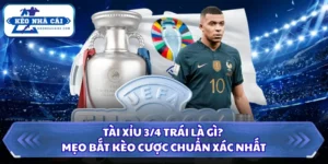 Tài Xỉu 3/4 Trái Là Gì? Mẹo Bắt Kèo Cược Chuẩn Xác Nhất 14 Tài Xỉu 3/4 Trái là gì