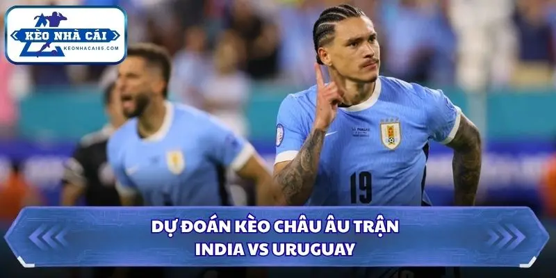 Phân tích xu hướng châu Âu dựa trên mức chấp và tài xỉu
