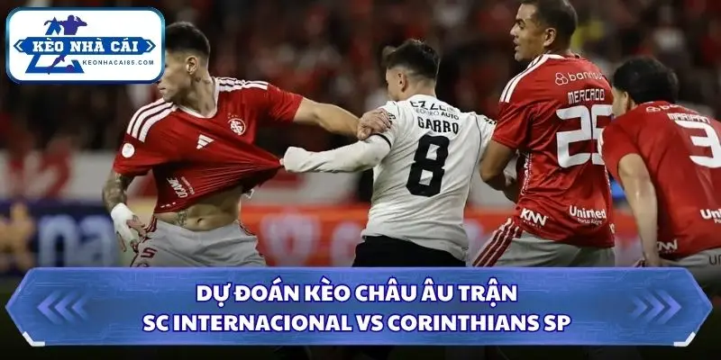 Chi tiết tỷ lệ châu Âu và xu hướng thị trường trước trận